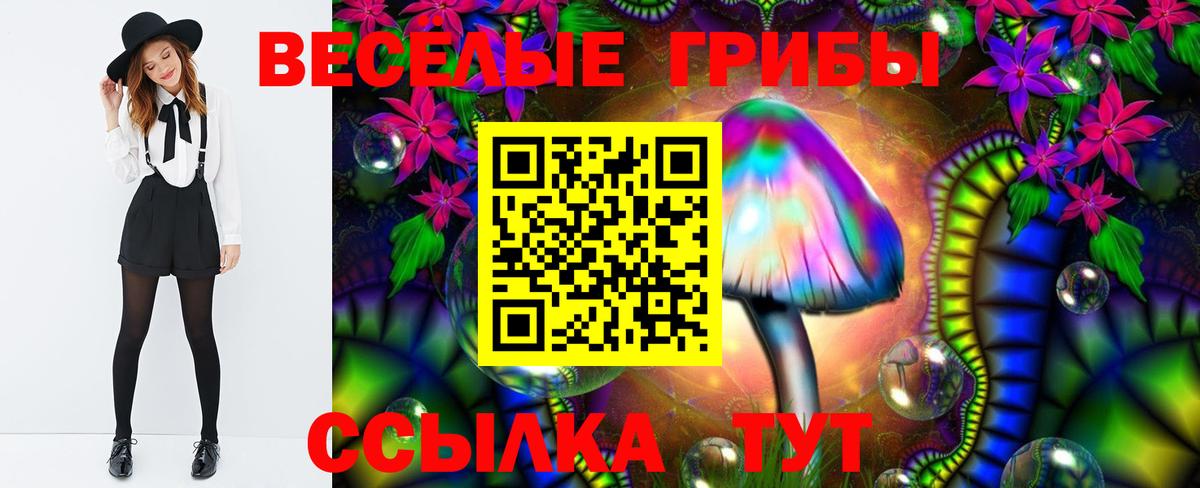 Кинель  Псилоцибиновые грибы мицелий  Галлюциногенные грибы Magic Shrooms  Вход с VPN 